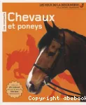 Chevaux et poneys