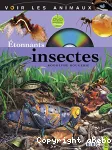 Etonnants insectes