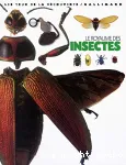 Le royaume des insectes